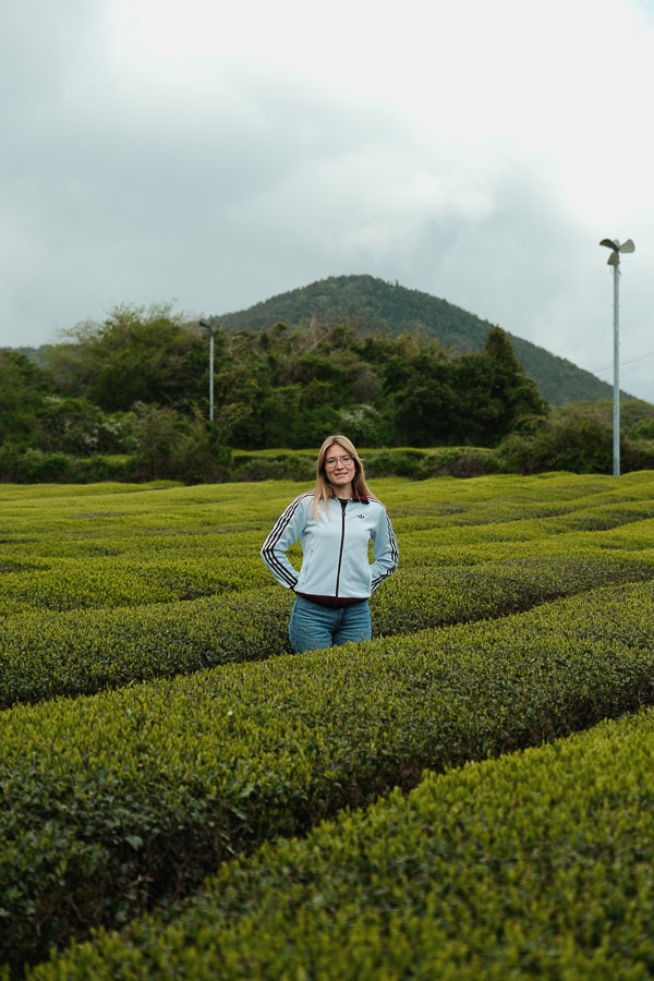Plantation de Osulloc