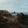Jeju miniature