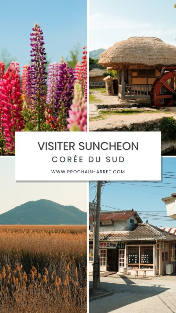 Pinterest Suncheon 1