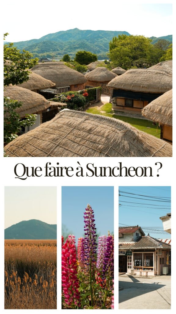 Pinterest Suncheon 4