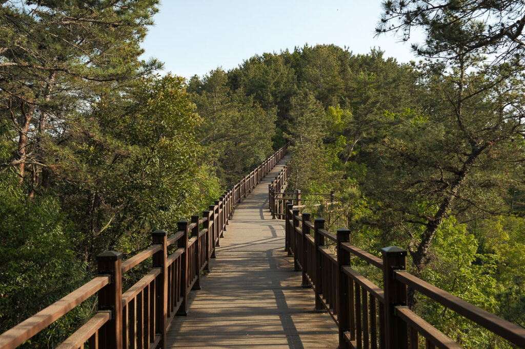 sentier de la Suncheon Bay Nature Reserve pour rejoindre le Yongsan Observatory