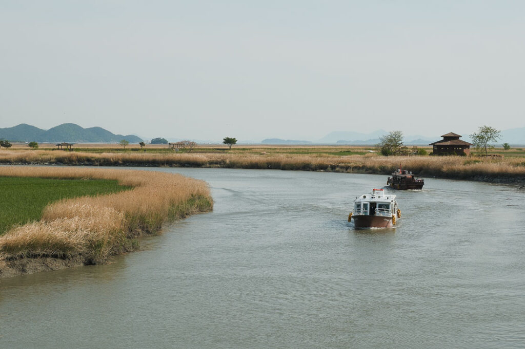 bateau traversant la Suncheon Bay Nature Reserve