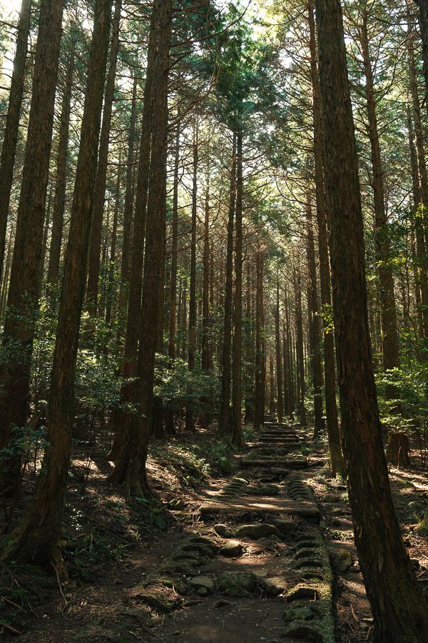Le sentier du Takaiwa Shrine