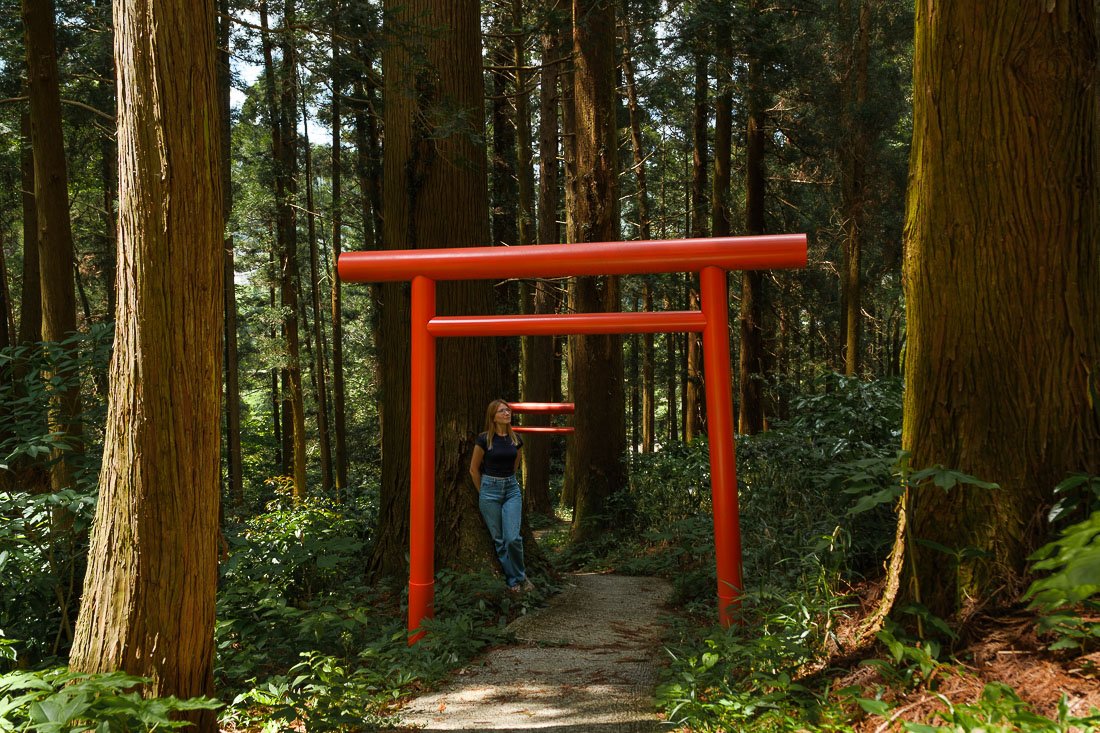 Torii rouge du Iwagami Shoichi Iinari Daimyojin
