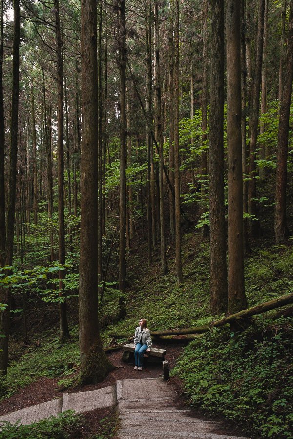 Julie assise dans les arbres de la forêt du Kamishikimi Kumanoimasu Shrine