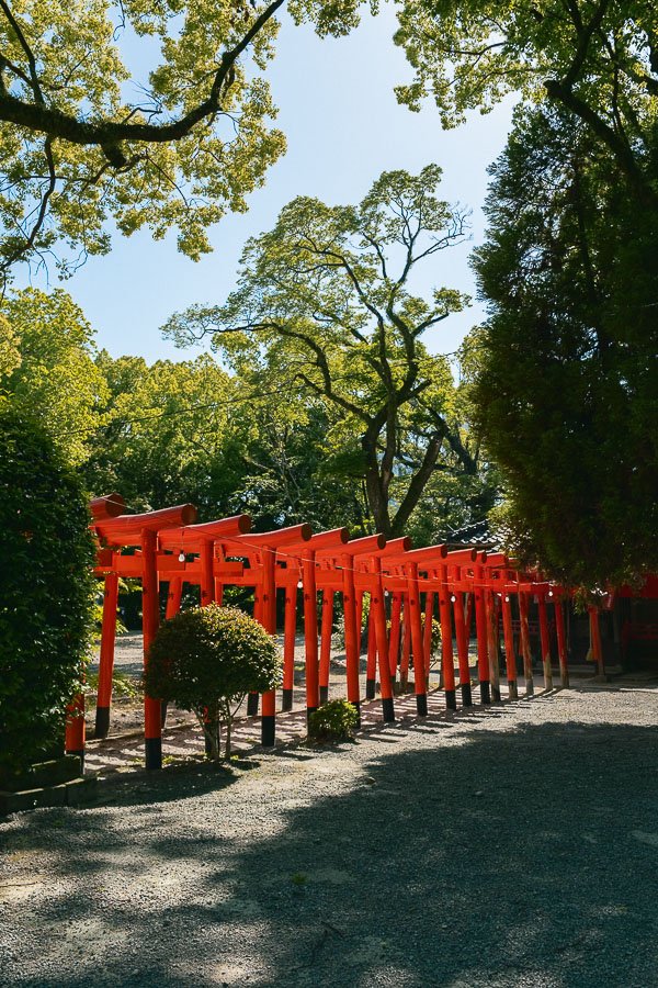 Allée de toriis au Sanctuaire Mihashira