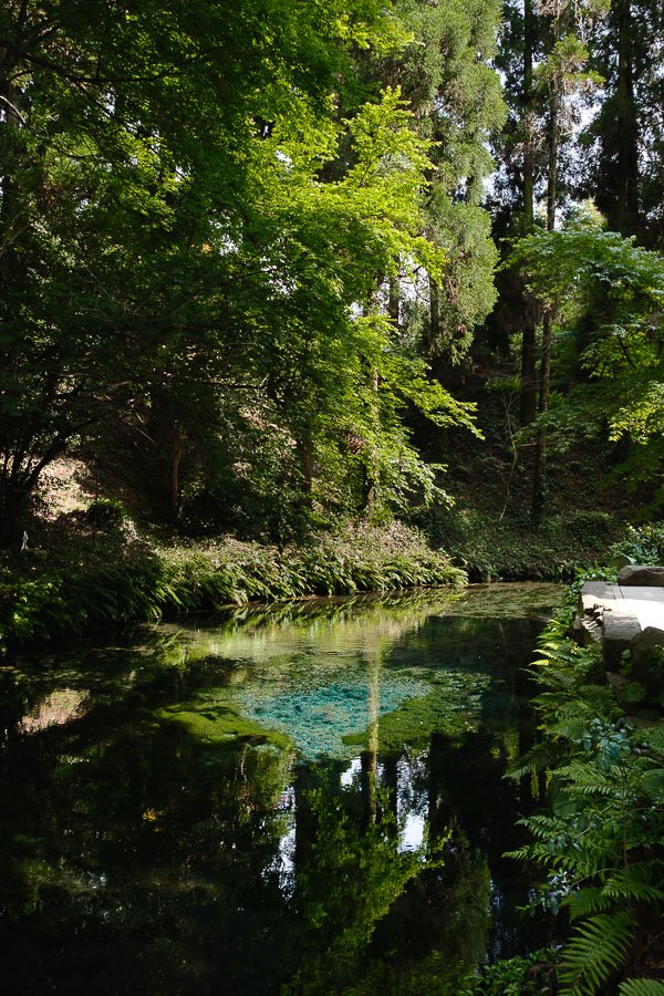 Source Shirakawa Spring