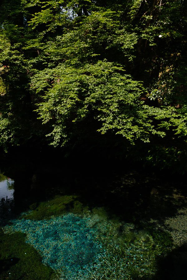 Source Shirakawa Spring
